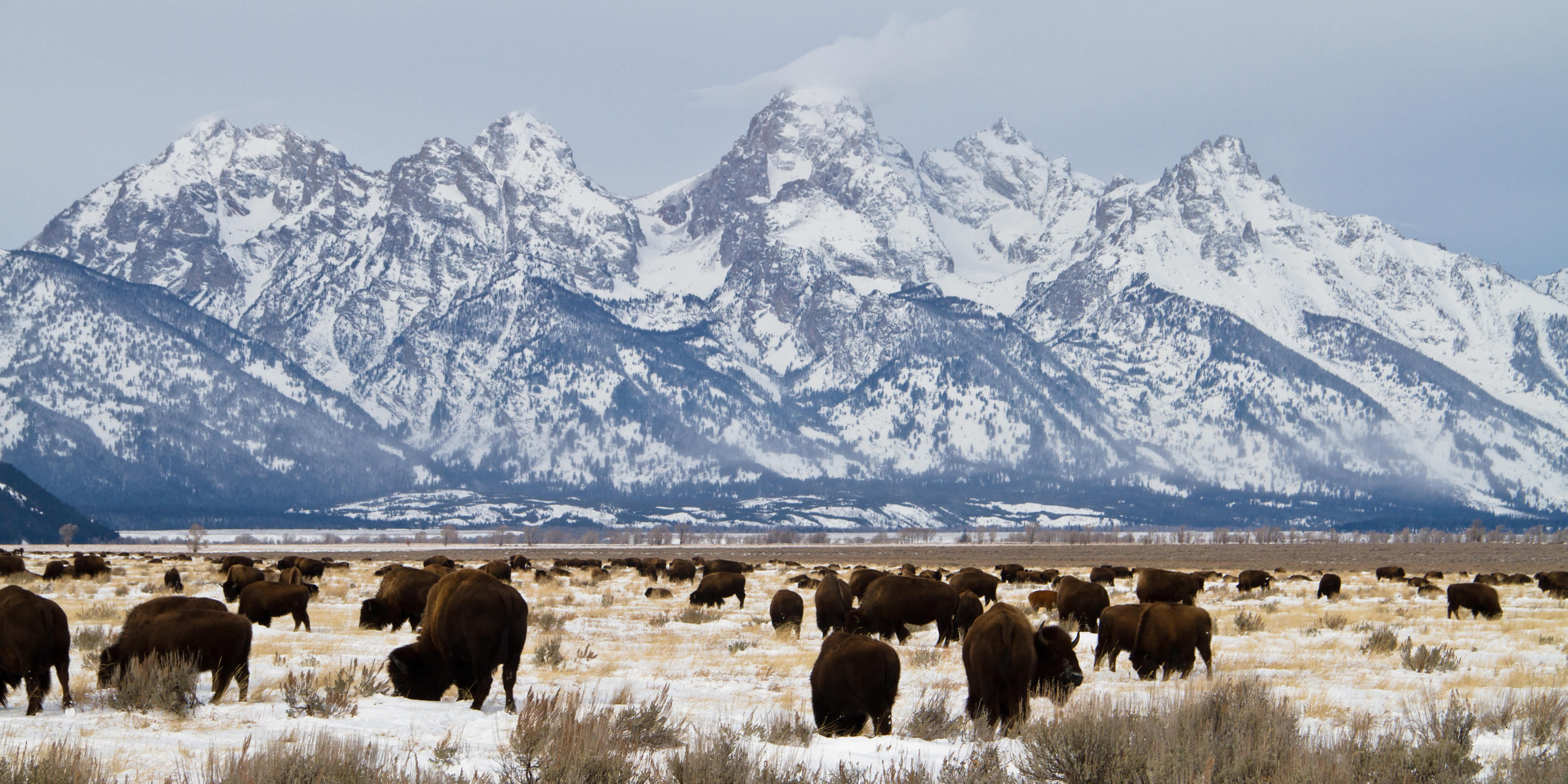 Jackson Hole in winter